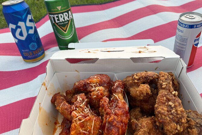 Han River sunset Chicken & Karaoke Private Tour - An In-Depth Look at the Tour Experience