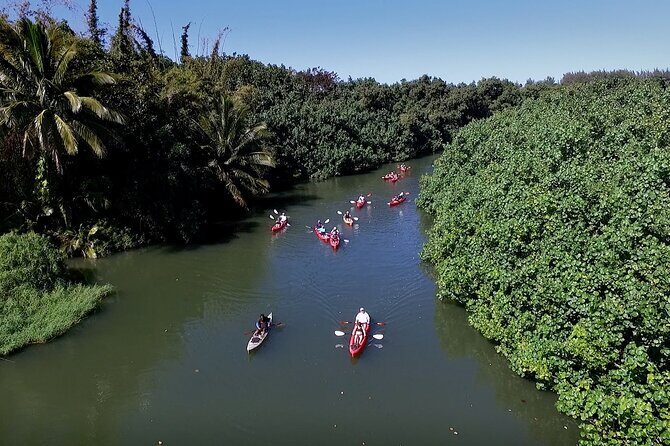 Hanalei Bay PM Kayak & Snorkel in Kauai - FAQ