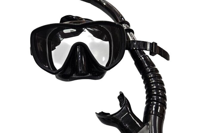 Hanauma Bay Experience with Admission Ticket and Equipment - Why Choose This Hanauma Bay Tour?