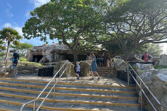 Hanauma Bay Snorkel Lesson - Who Will Love This Tour?