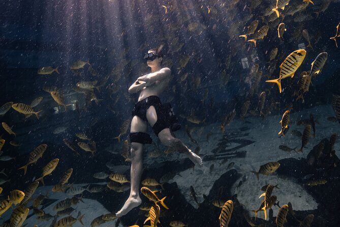 Hanauma Bay Snorkeling Reservation+Equipment Rental - The Allure of Hanauma Bay