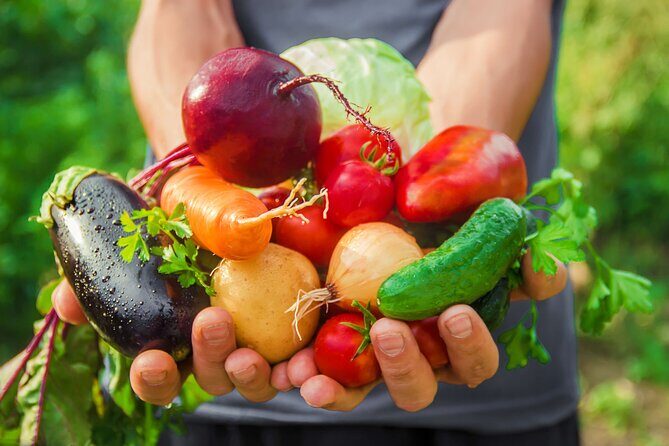 Hands-On Cooking Class & Farmhouse Tour on the Amalfi Coast - A Beautiful Blend of Nature, Culture, and Cuisine