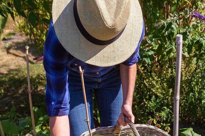 Hands-On Cooking Class & Farmhouse Tour on the Amalfi Coast - Why This Tour Delivers Great Value