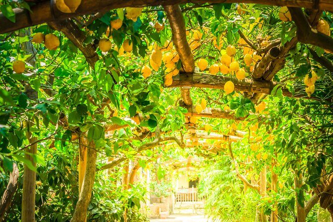Hands-On Cooking Class & Farmhouse Tour on the Amalfi Coast - Final Thoughts