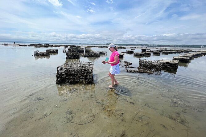 Hands-On Oyster Farm Experience in Plymouth - Key Points