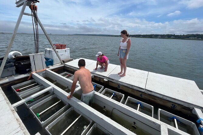 Hands-On Oyster Farm Experience in Plymouth - The Practicalities: What to Know Before You Book