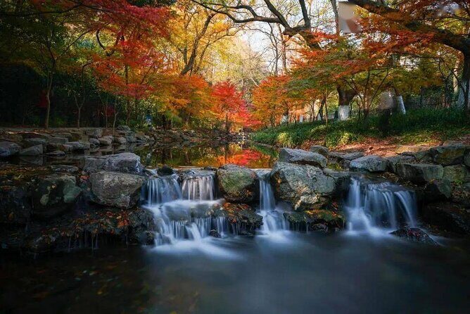 Hangzhou Jiuxi and Tea Village Hiking Trip from Shanghai By Train - Is This Tour Right for You?