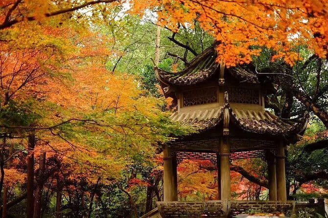 Hangzhou Private Day Tour from Huangshan by Bullet Train with Drop-off Option - An In-depth Look at the Experience