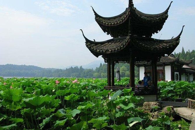 Hangzhou Private Day Tour from Nanjing by Bullet Train with Drop-off Option - The Itinerary in Detail: What to Expect