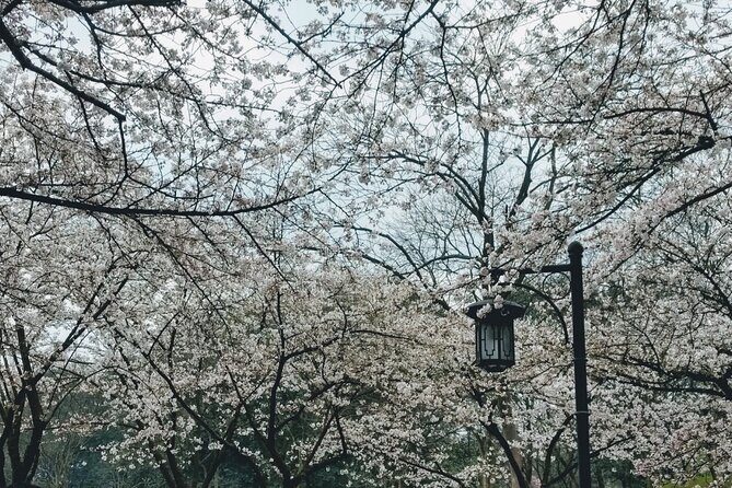 Hangzhou Private Day Tour with West Lake - Key Points