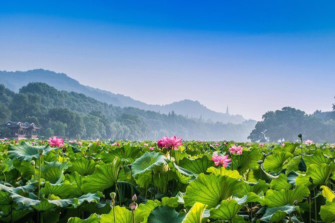 Hangzhou Private Transfer: Railway Station to City Hotels - Why It’s a Great Choice
