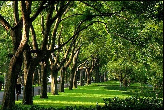 Hangzhou West Lake Walking Day Tour - Analyzing the Value for Your Money