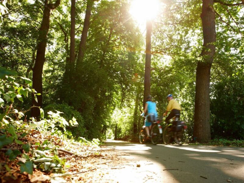 Hannover: Culinary walking tour district List/Oststadt - The Sum Up