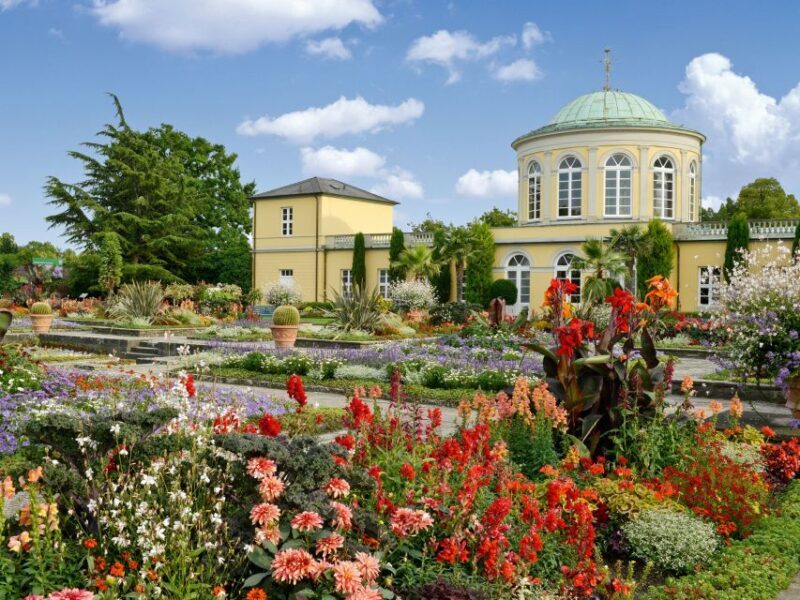 Hannover: Guided tour of the Berggarten - What to Expect from the Berggarten Guided Tour