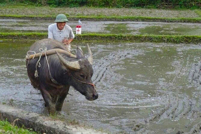 Hanoi: BEST Day Trip to Mai Chau Explore hidden charms, biking - The Sum Up: Is This Tour Worth It?