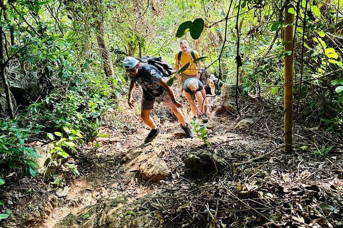 Hanoi-Cat Ba Isand 2-Day Trip with Trekking, Night Kayak,Transfer - What Sets This Tour Apart