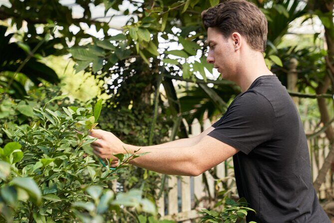 Hanoi Cooking Class in a Haven of Tranquility - Thom culinary - Frequently Asked Questions
