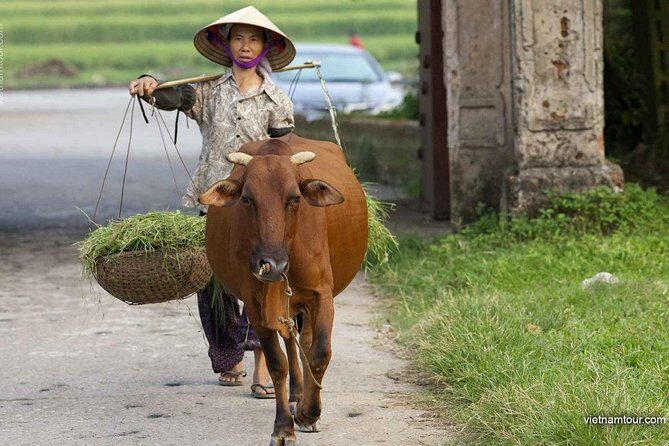 Hanoi: Duong Lam Historical Village Private Day Tour - Final Thoughts: Who Will Love This Tour?