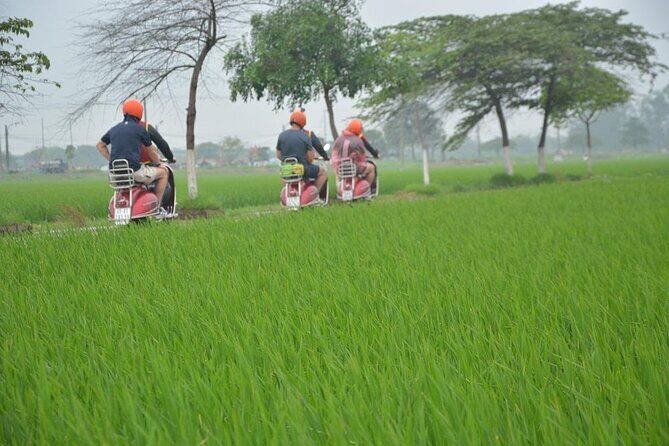 Hanoi Food Tours: Hanoi Foodie Scooter Tour Led By Women - The Sum Up