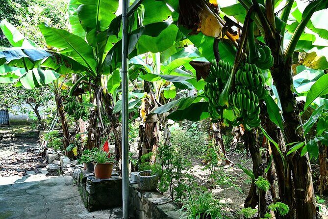 Hanoi Full Day A Private Tour With Mix of History and Activities - Some Considerations