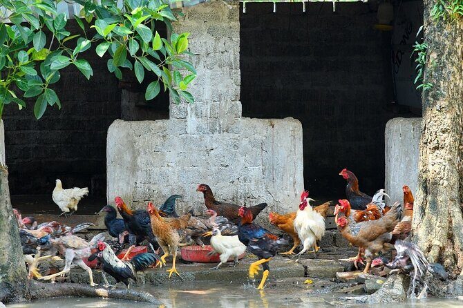 Hanoi Full Day A Private Tour With Mix of History and Activities - Who Will Love This Tour?