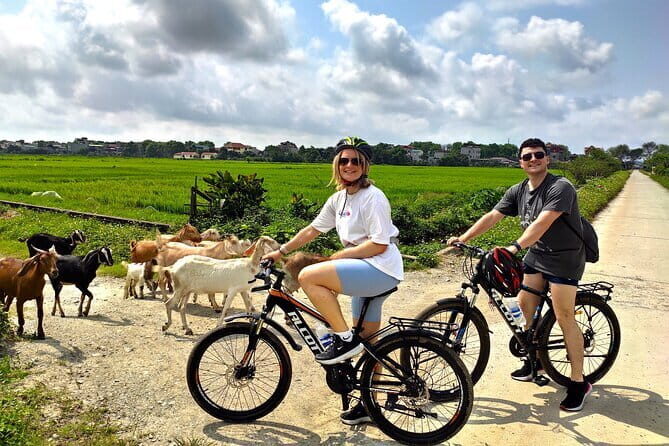 Hanoi: Luxury Small Group discover Tam Coc, Hoa Lu & Local Family - A Deep Dive into the Itinerary