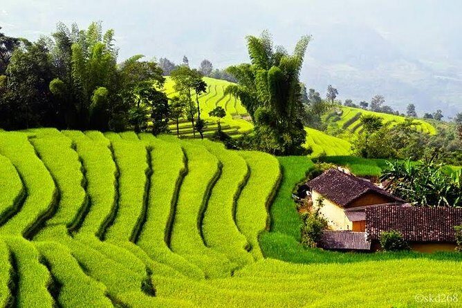 Hanoi - Mai Chau Private Transfer - Practical Tips for the Transfer