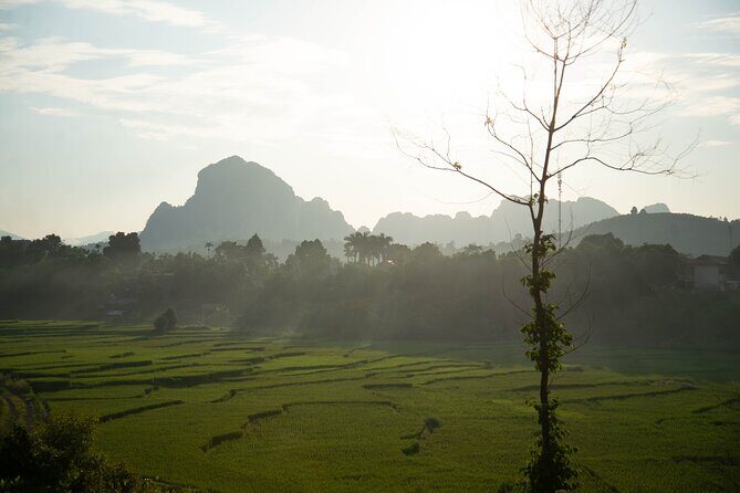 Hanoi Paragliding COMBO: Tandem paraglide + course (full-day) - The Sum Up