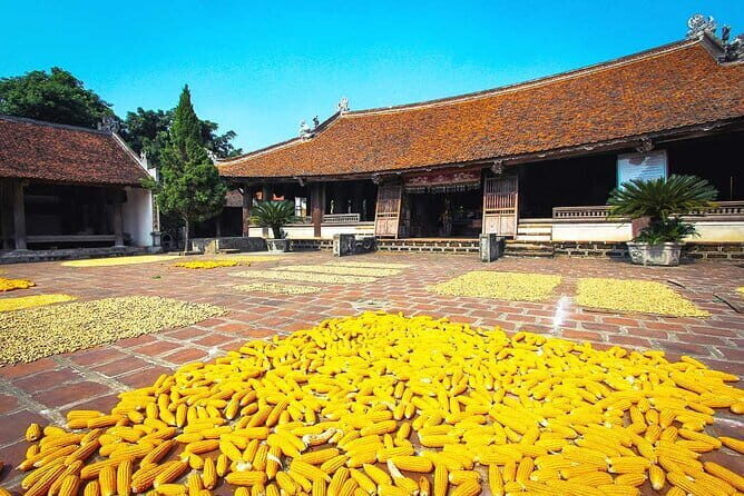 Hanoi Private Tour Incense Village and Duong Lam Ancient Village - Why This Tour Offers Great Value