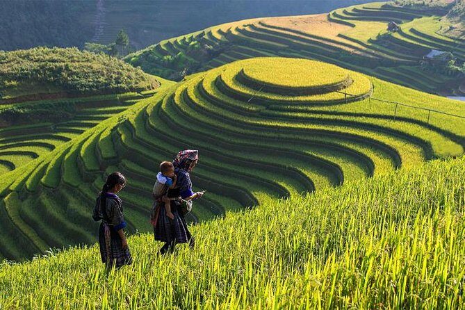 Hanoi - Sapa One Way Private Transfer - Real Insights from Travelers