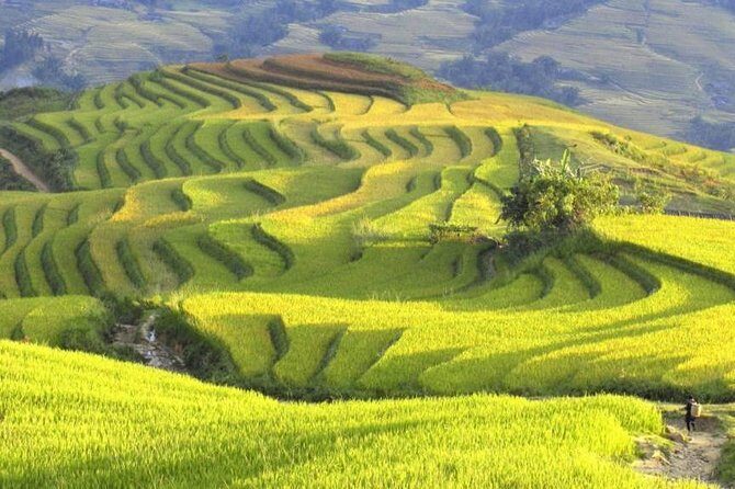 Hanoi-Sapa Trek 2 days 2 nights and Homestay with small group - Scenic Drive Through Vietnam’s Countryside
