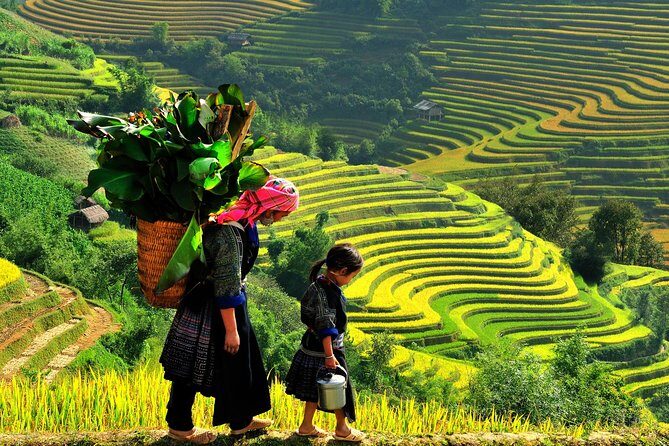 Hanoi-Sapa Trek 2 days 2 nights in Hotel with small group - The Journey: What to Expect Day by Day