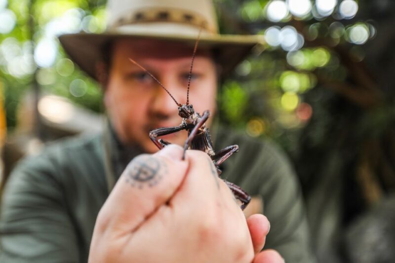 Hanover: SEA LIFE Entry Ticket - Visitor Reviews and Insights