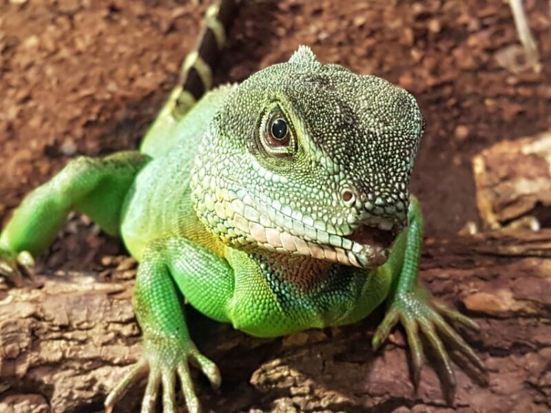 Hanover: SEA LIFE Entry Ticket - Final Thoughts