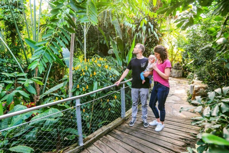 Hanover: SEA LIFE Entry Ticket - FAQs