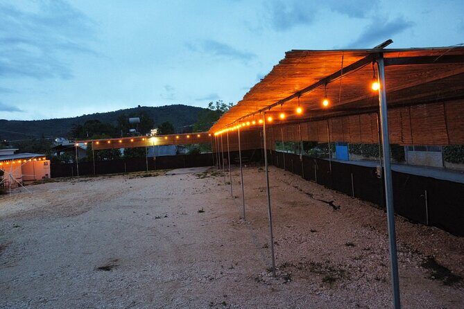 Happy Camping Berat - Final Thoughts