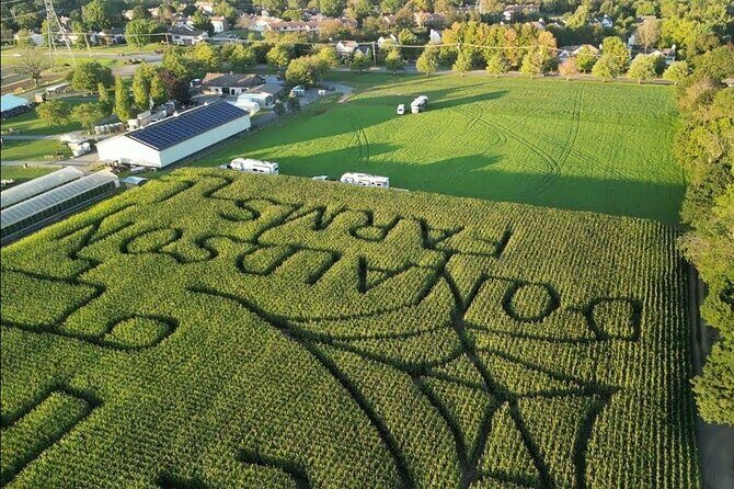 Happy Farm Fun Day Tour from NY | Kids 50% Off - Key Points