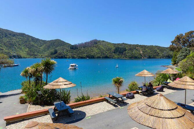 Happy Hour Cruise to Lochmara -from Picton? Take a short cruise - Authentic Experiences and Traveler Feedback