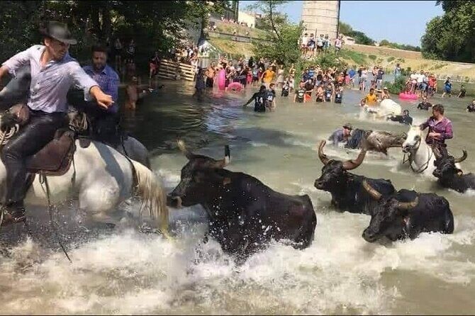 Happy tour camargue an immersion by bike and scooter E - The Sum Up