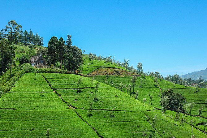 Haputale Highlands from Nuwara Eliya - A Closer Look at the Journey: What to Expect from Each Stop