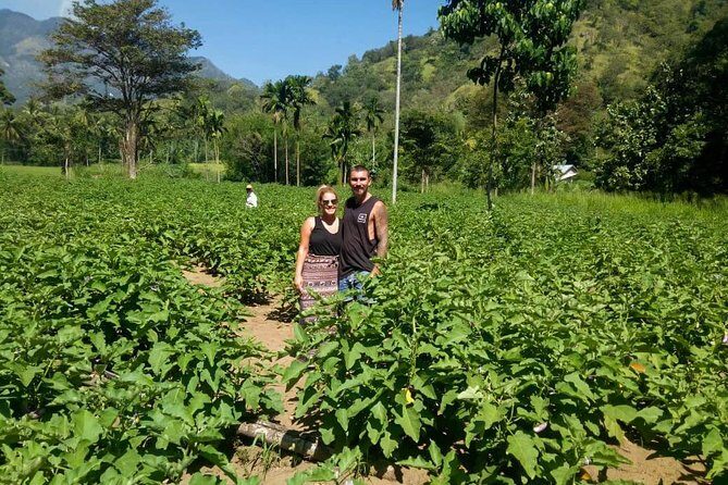Haputale Highlands from Nuwara Eliya - Authenticity & Insider Tips from Reviews