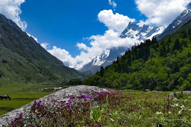 Har Ki dun Trek by Himalaya Shelter - Key Points