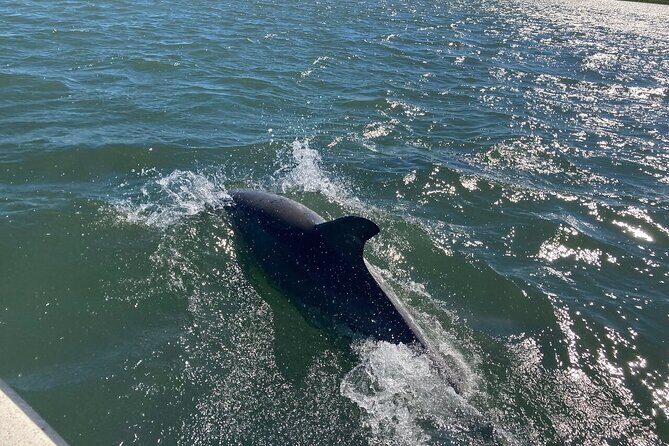 Harborside Orange Crush Cruise - FAQ