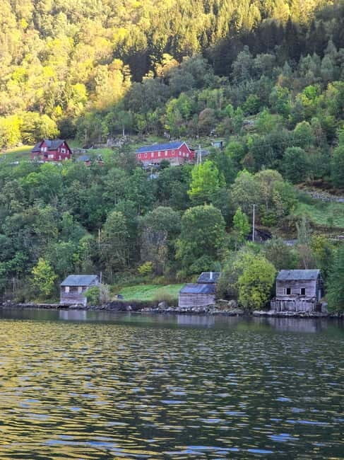 Hardangerfjord: Guided Kayak Tour - Key Points