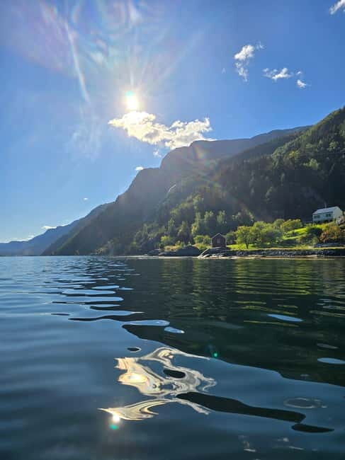 Hardangerfjord: Guided Kayak Tour - The Experience in Detail