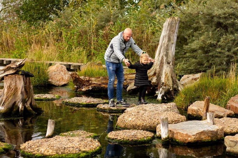 Harderwijk: Dolfinarium Entry Ticket - What You Can Expect at the Dolfinarium