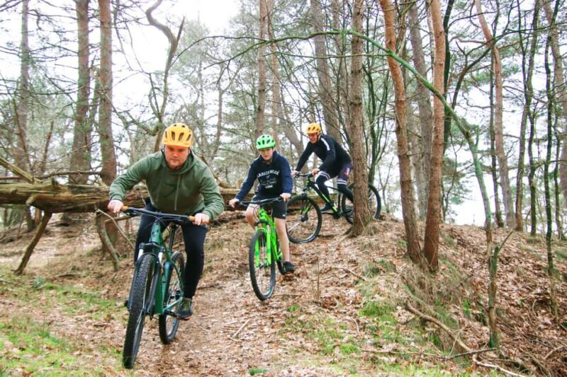 Harderwijk: Mountain Bike Rental on the Veluwe - Discover the Veluwe on Two Wheels