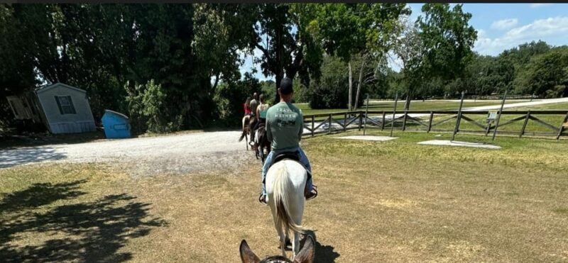 Harmony Horse Riding of Miami - What Makes Harmony Horse Riding Special?