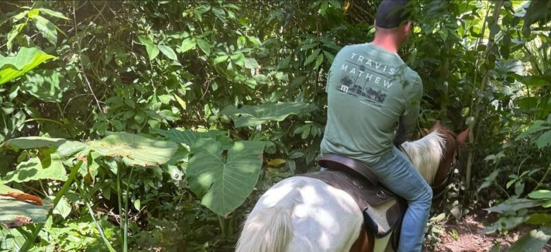 Harmony Horse Riding of Miami - Why This Tour Offers Great Value