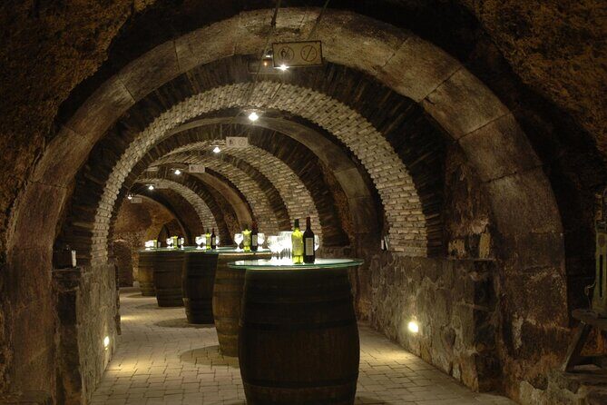 Haro, Laguardia and two Rioja wineries from Bilbao - Authentic Insights from Travelers